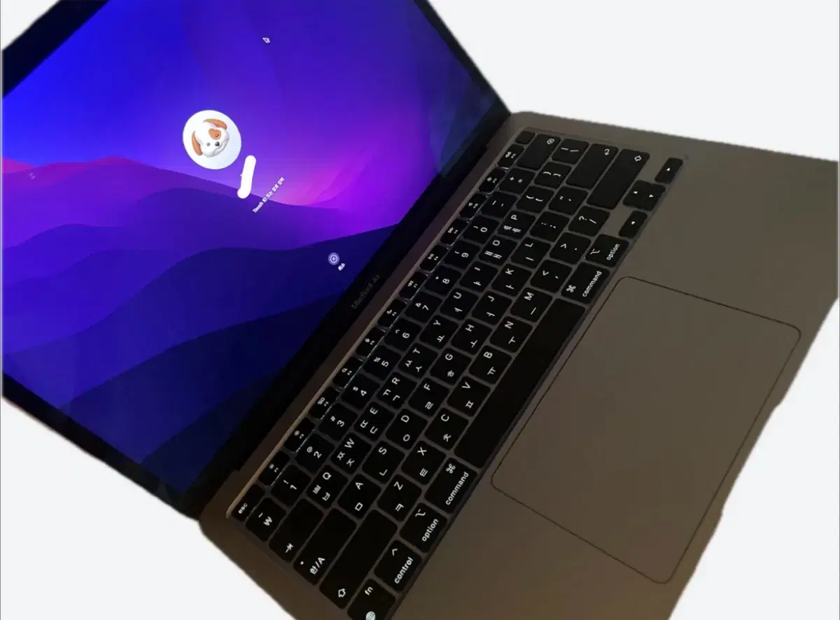 MacBook本体 MacBookAir Apple MacBook Air Retinaディスプレイ 13.3 MGN63J/A [スペースグレイ